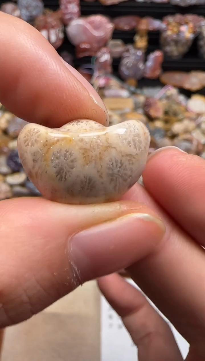 【闪购商品】硅化珊瑚（珊瑚玉）颈饰未镶嵌612