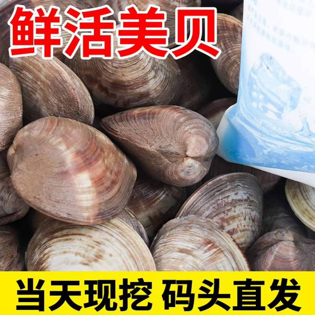 【岛里货】大蛤肉新鲜速冻去壳包肥无泥沙