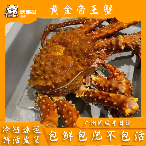 鲜活打氧发帝王蟹3-3.5斤 新风港发货活发包鲜 鲜活海蟹 