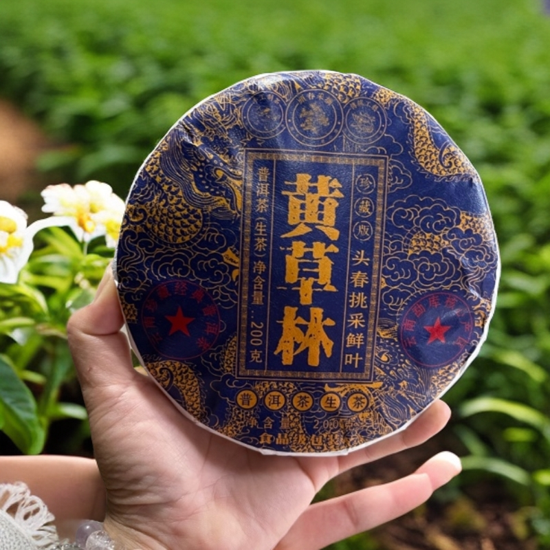 2025年黄草林二类古树春茶 6月25日【062】