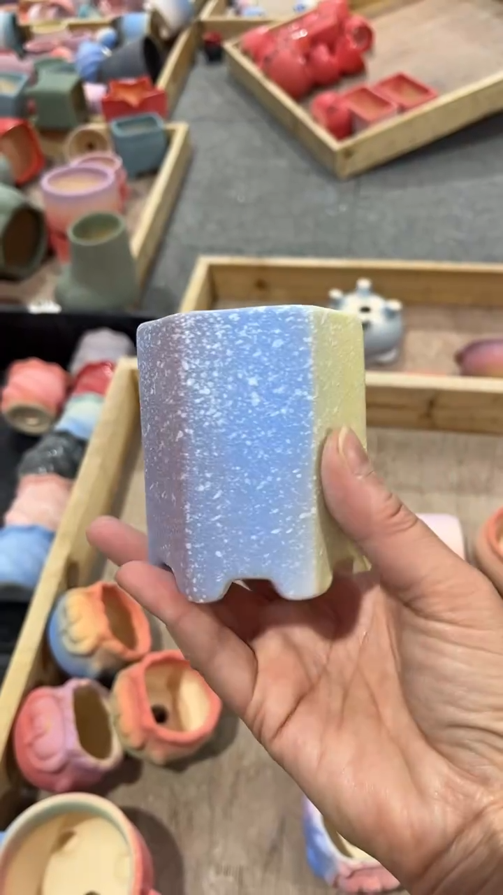 【闪购商品】红陶6*8