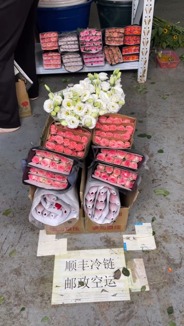 自由20枝+艾沙20枝+戴安娜20枝+白桔梗800克