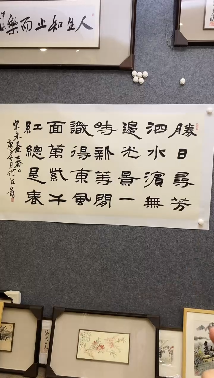 【闪购商品】书法HCG 0008 胜日寻芳