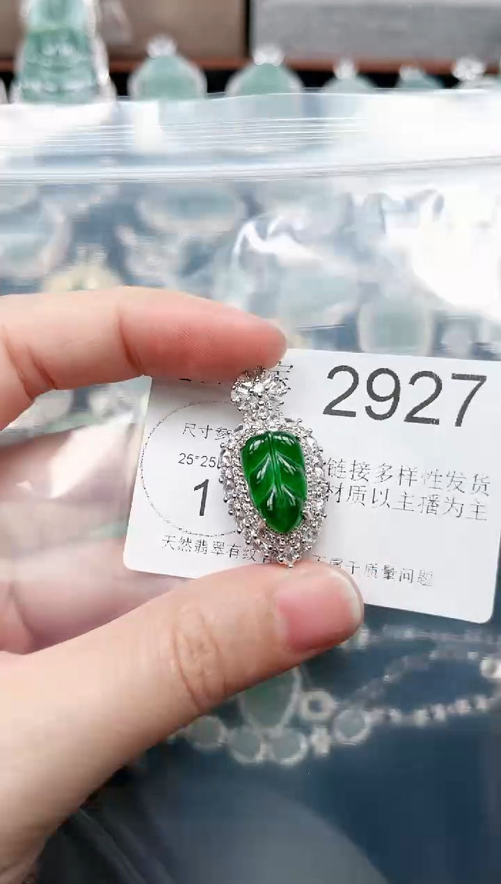【闪购商品】翡翠颈饰未镶嵌赠皮绳2927