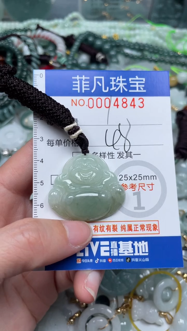 【闪购商品】翡翠颈饰未镶嵌00...4843