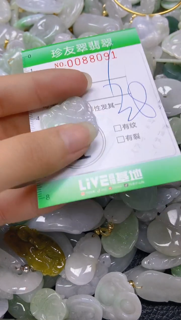 【闪购商品】翡翠颈饰未镶嵌闪购0088091