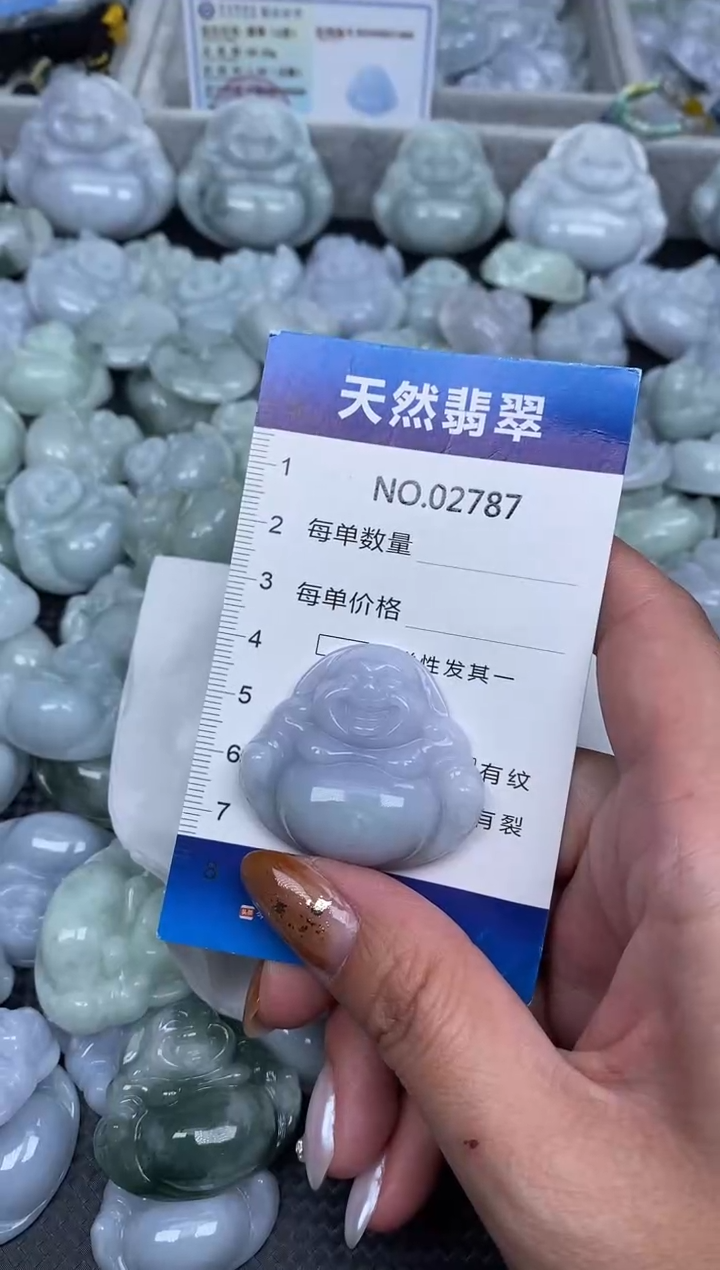 颈饰未镶嵌翡翠纯天然A货翡翠2787