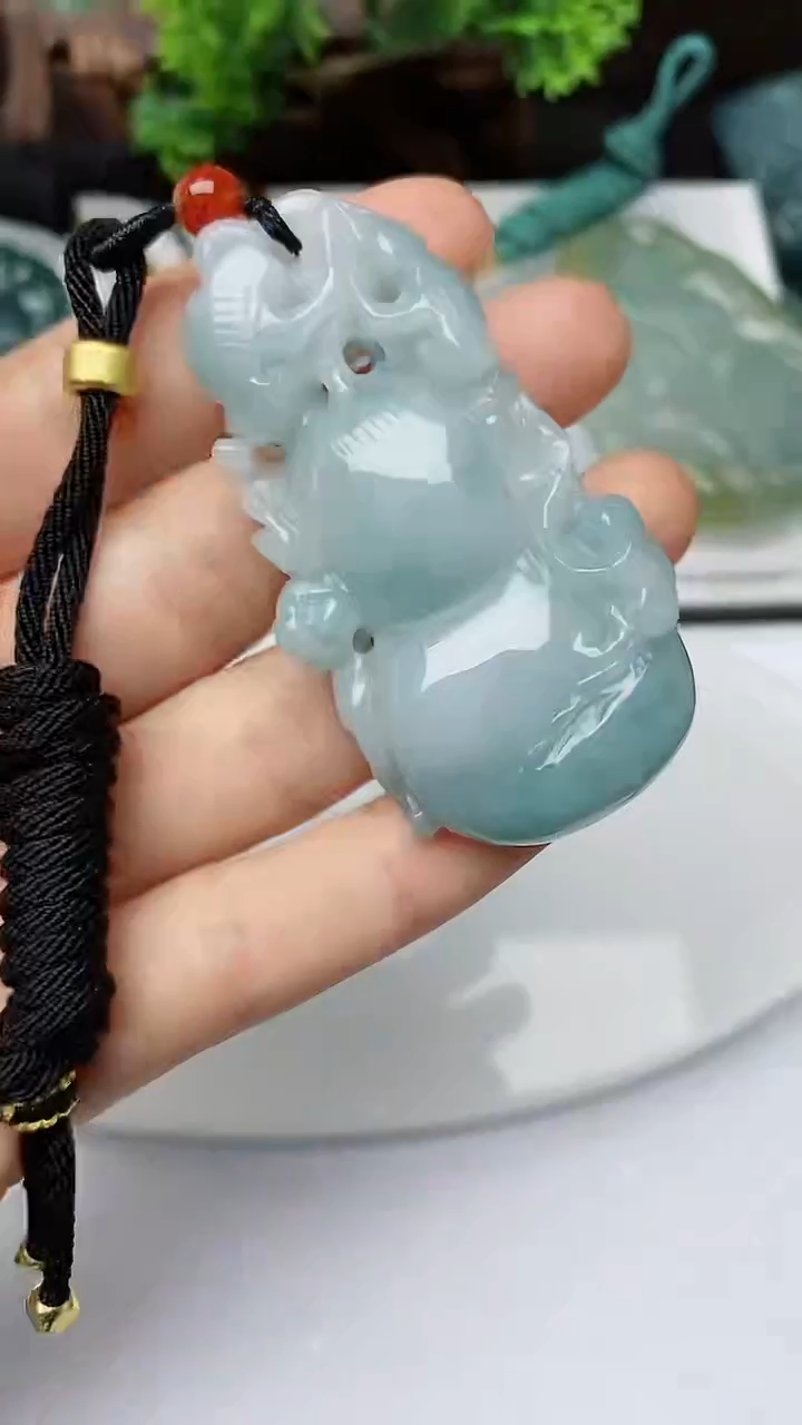 【闪购商品】翡翠颈饰未镶嵌