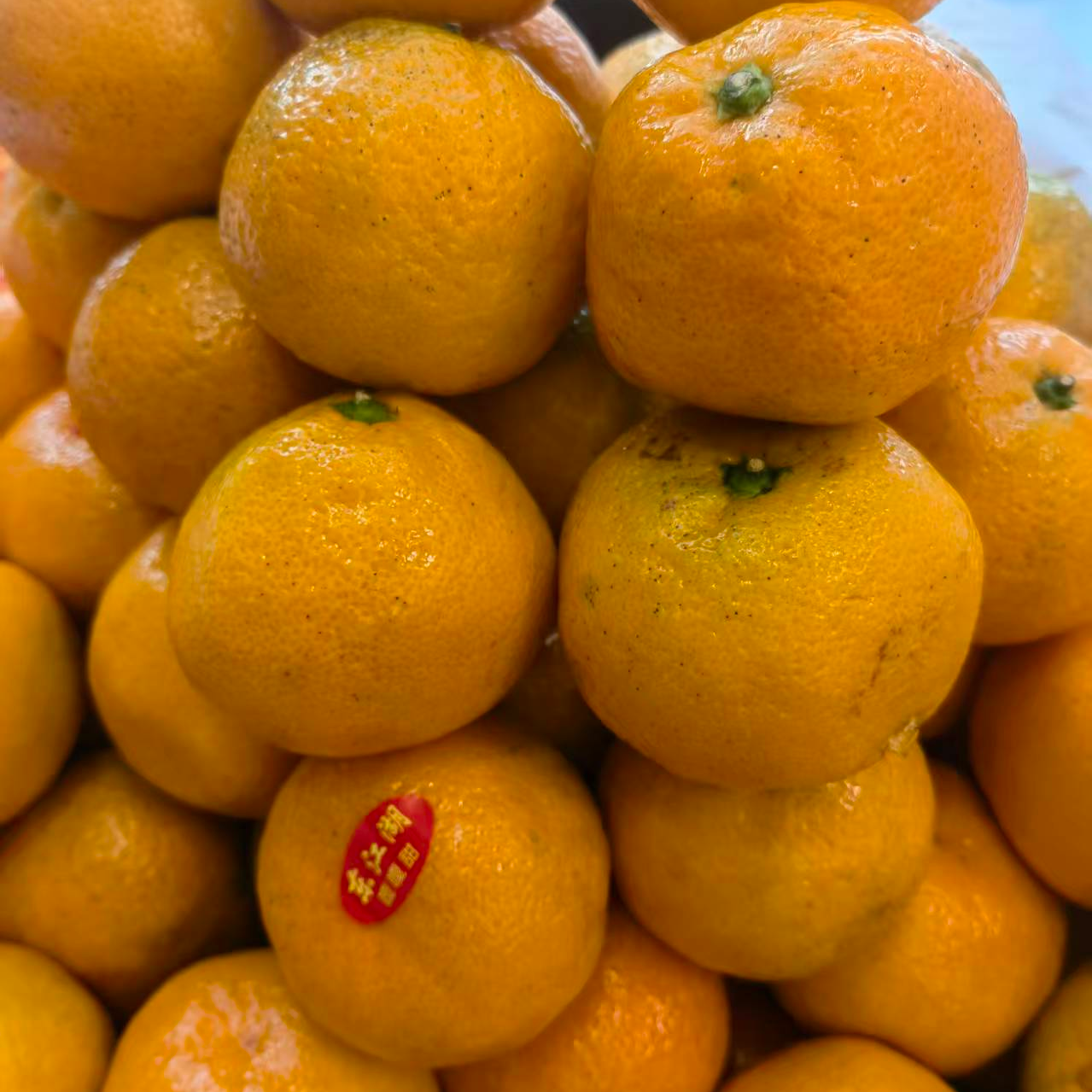 东江湖蜜桔10元8斤