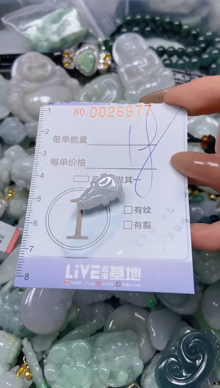 【闪购商品】翡翠颈饰未镶嵌闪购0026977