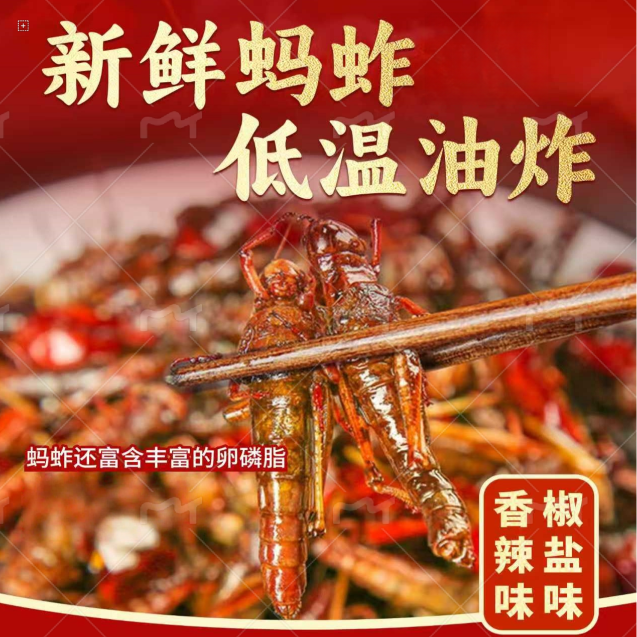 蝗虫油炸即食蚂蚱椒盐香辣味带籽养殖山东特产开袋下酒菜蚱蜢