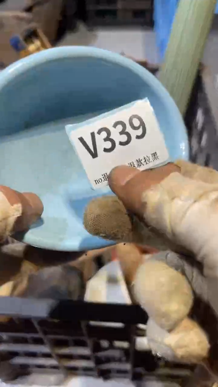 陶瓷柳*儿跳跳直播链接火爆热卖