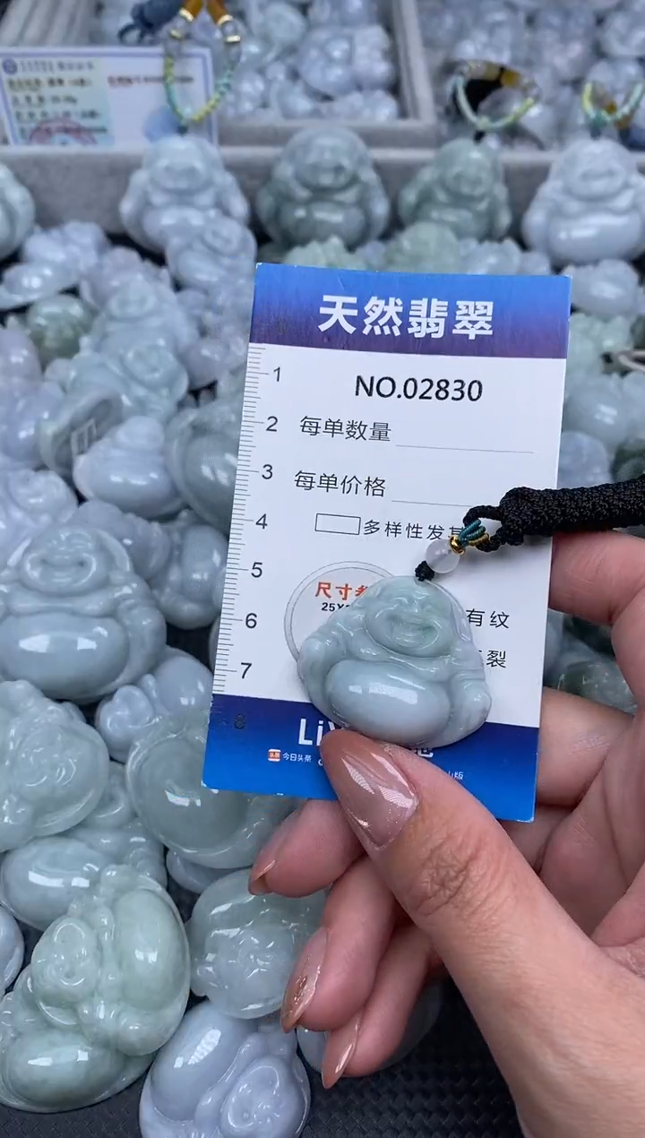 颈饰未镶嵌翡翠纯天然A货翡翠2830