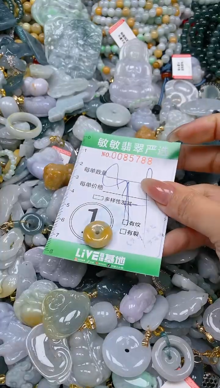 【闪购商品】翡翠颈饰未镶嵌闪购0085788