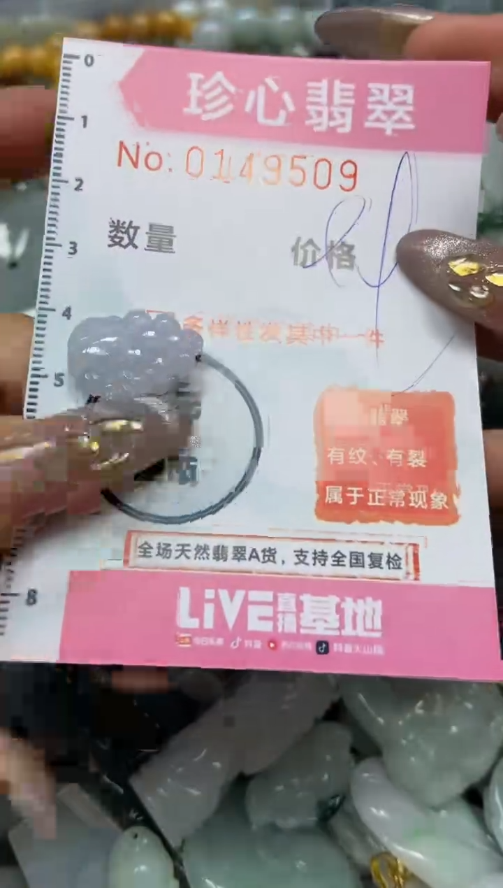 【闪购商品】翡翠颈饰未镶嵌闪购0149509