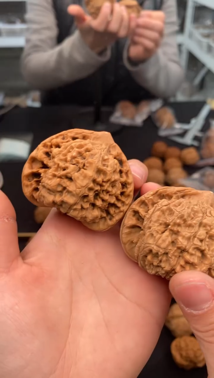 【闪购商品】文玩核桃把件麒麟官帽50-u652