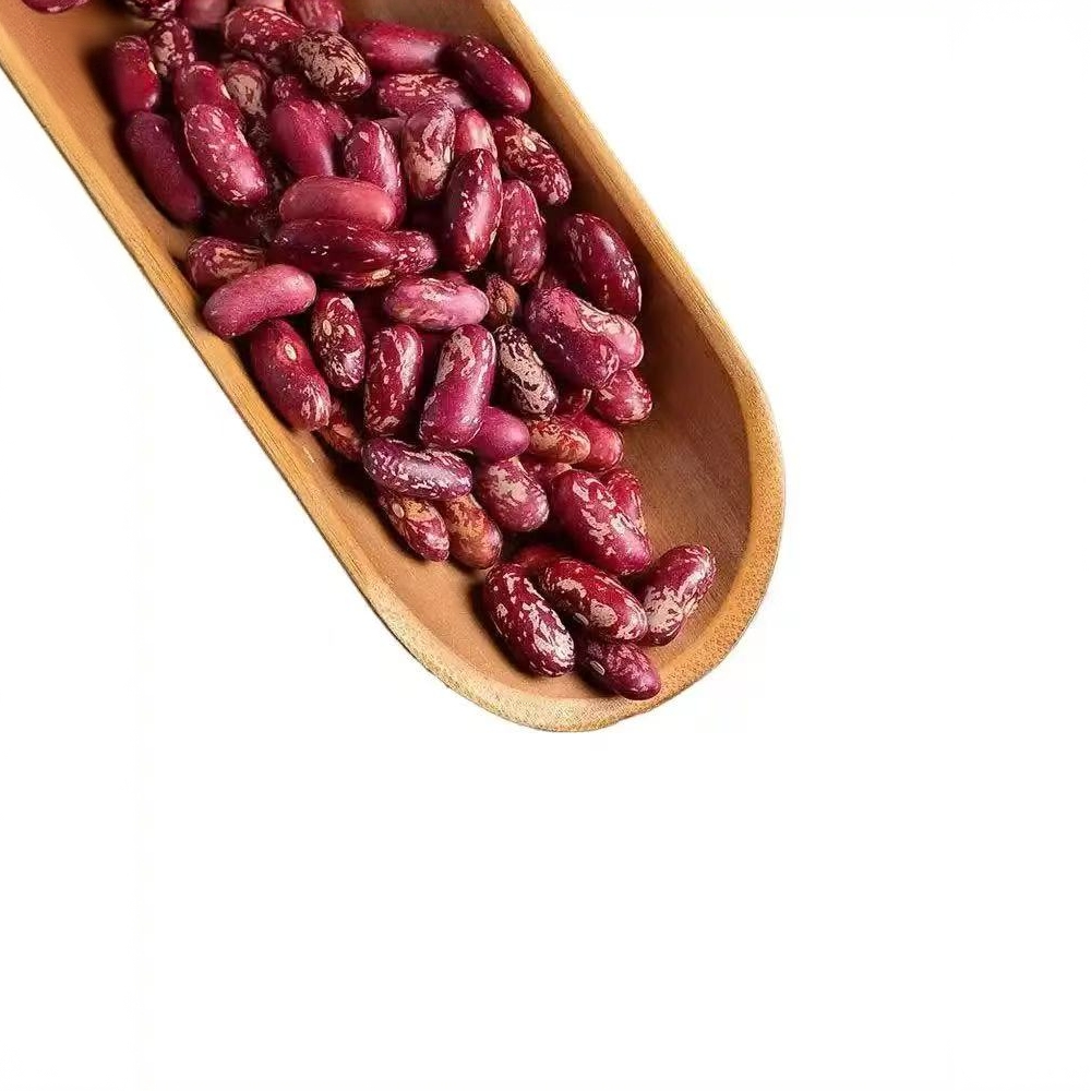 【蕾娃优选】新  陕北农家菜豆  无农药 无化肥