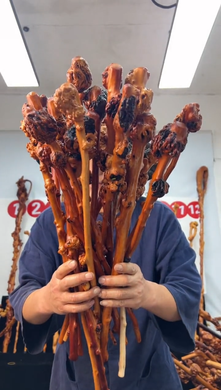 黑果木其他黑果木744