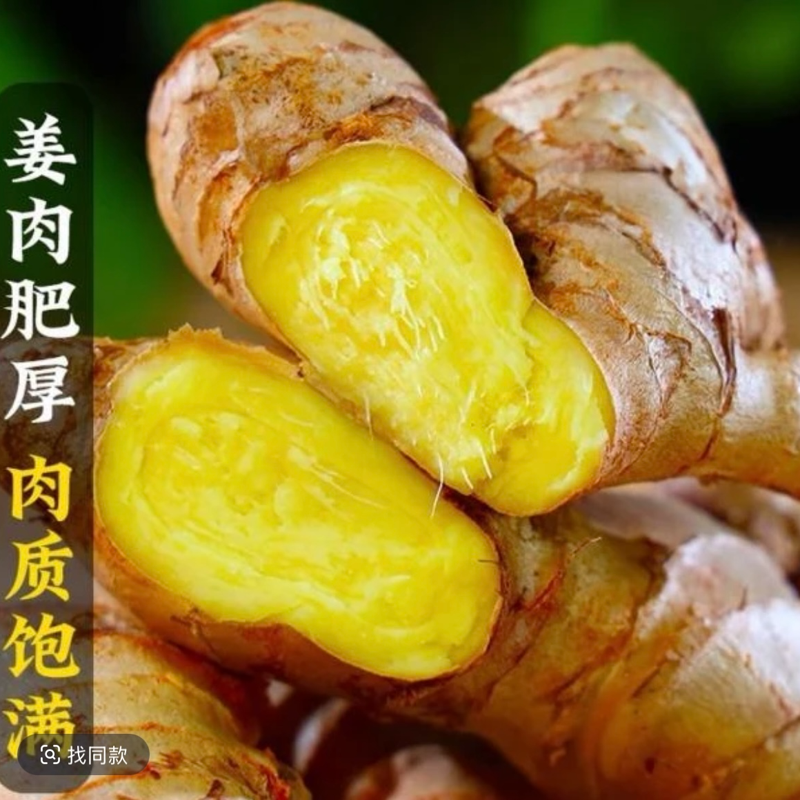 正宗小黄姜新鲜现挖姜味浓郁香辣十足可做月子姜