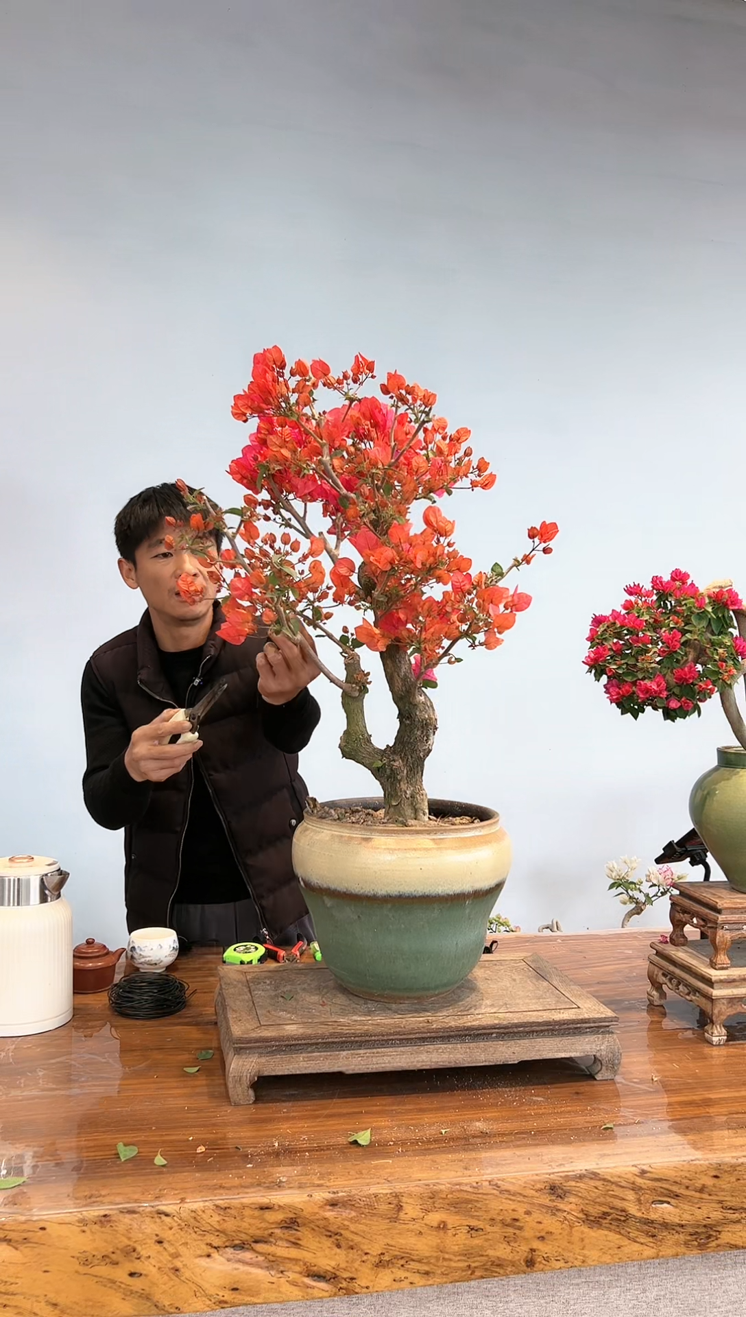 【闪购商品】aa917