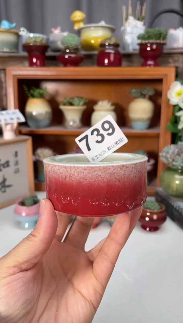 瓷片739小芳直播编号