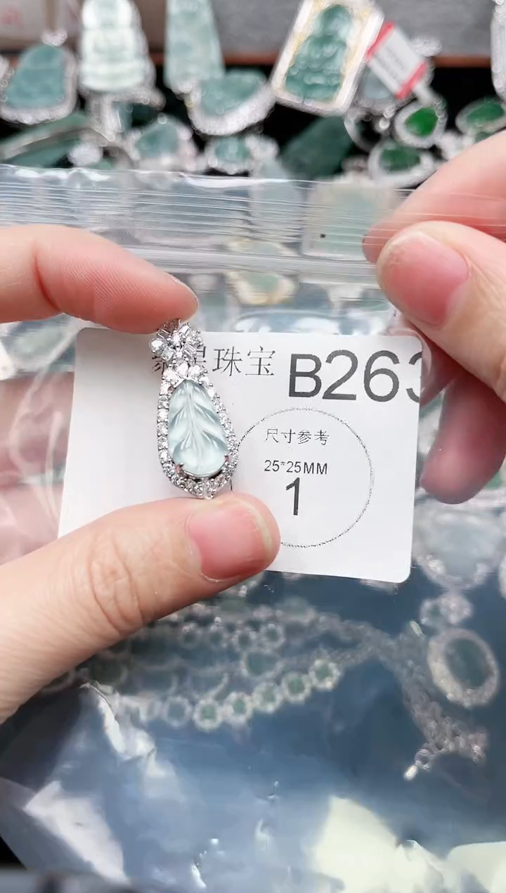 【闪购商品】翡翠颈饰未镶嵌263赠皮绳