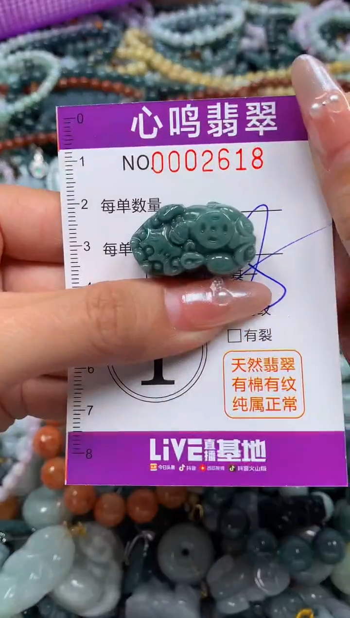 颈饰未镶嵌翡翠闪购002618