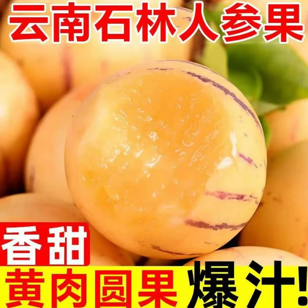 云南石林人参果应季果黄肉圆果新鲜树上熟清甜多汁