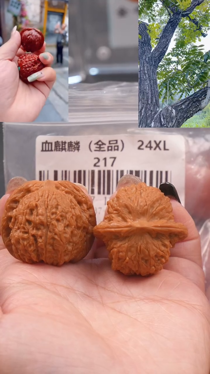 【闪购商品】文玩核桃吊坠37尺全品一代老树血麒麟