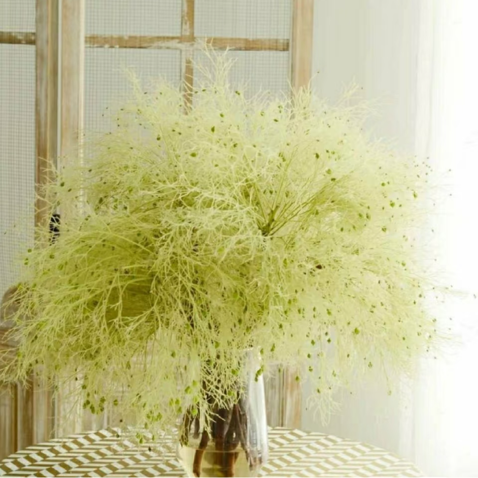 【花拾间】柔丝 春日限定的浪漫 鲜切花材 可做干花观赏期长