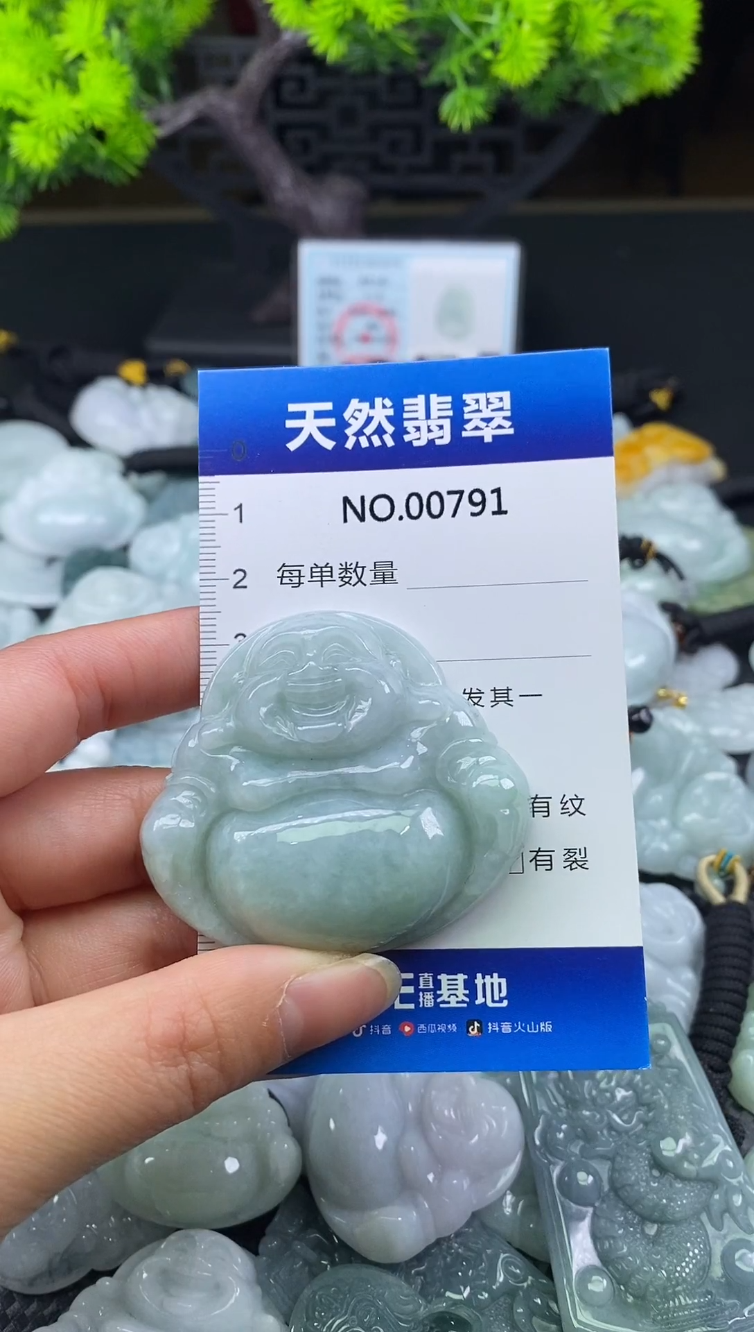 颈饰未镶嵌翡翠天然缅甸翡翠791