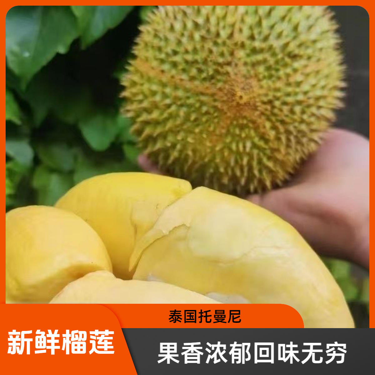 【超级福袋】泰国小猫山王新鲜榴莲托曼尼1.5-2斤包邮包售后