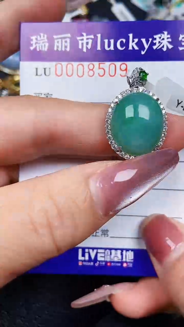颈饰银S925镶嵌翡翠8509