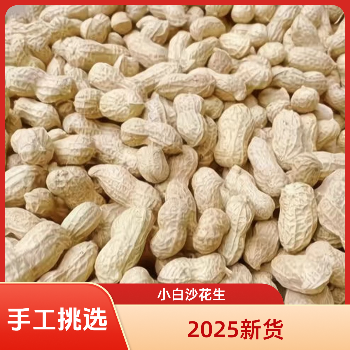 2025当季带壳干花生 生花生带壳花生 红皮花生 小白沙 花生带壳