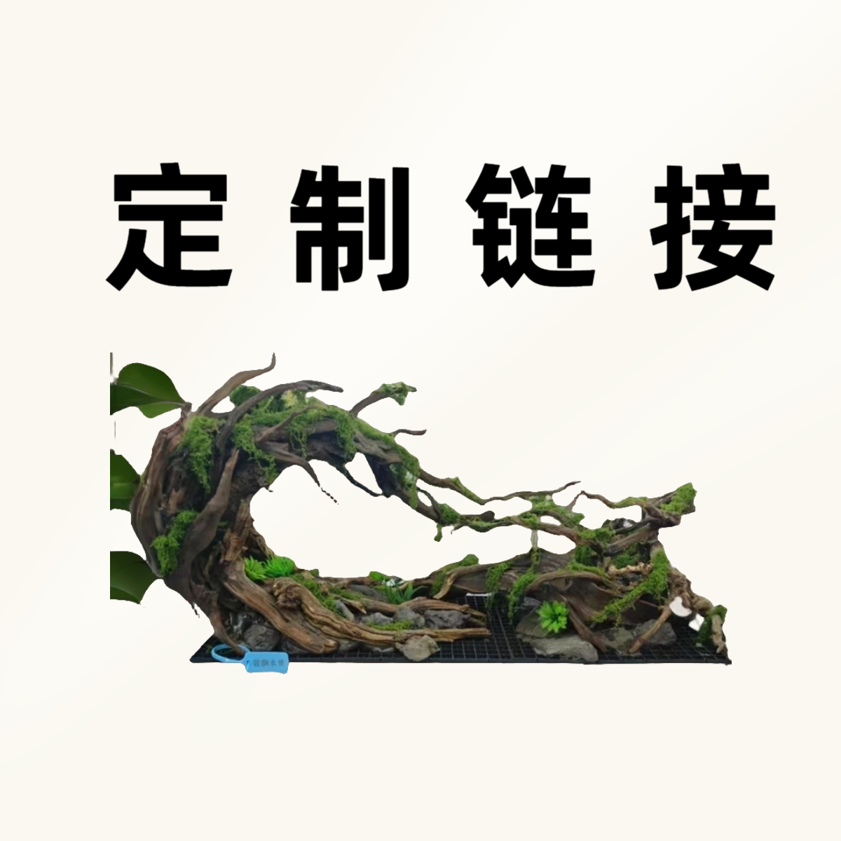 定制链接小黄车联系客服鱼缸沉木