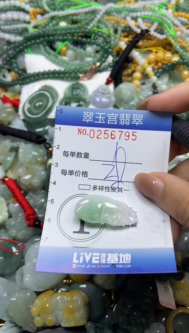 颈饰未镶嵌翡翠闪购C0256795