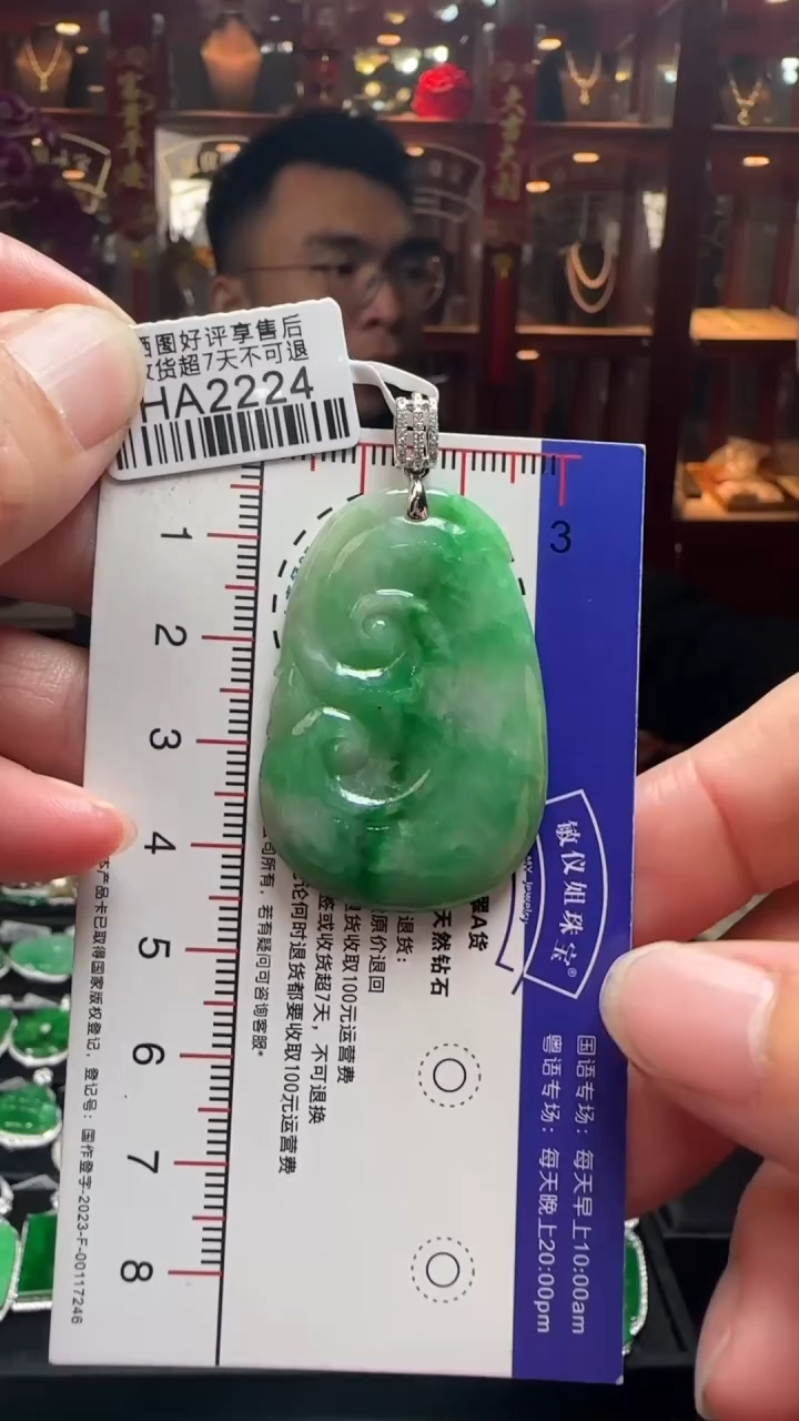 【闪购商品】翡翠颈饰18K金镶嵌HA2224如意