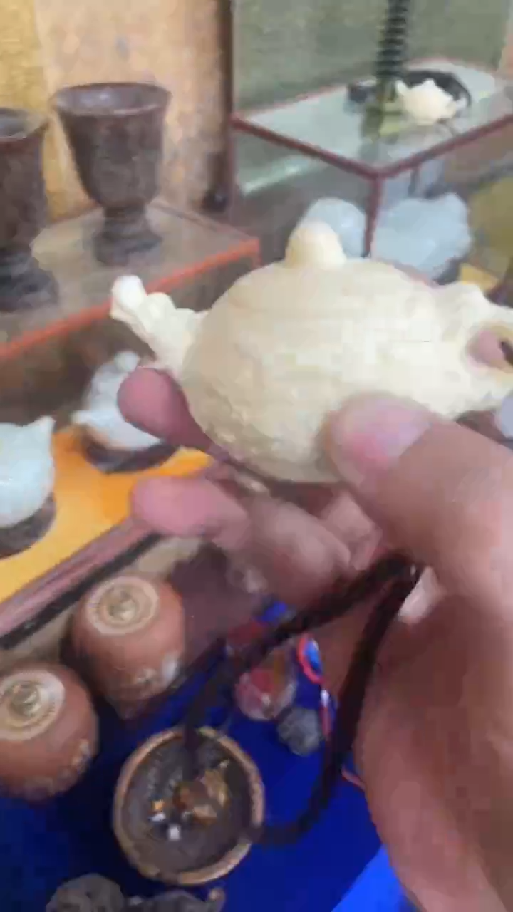木--------------白把把