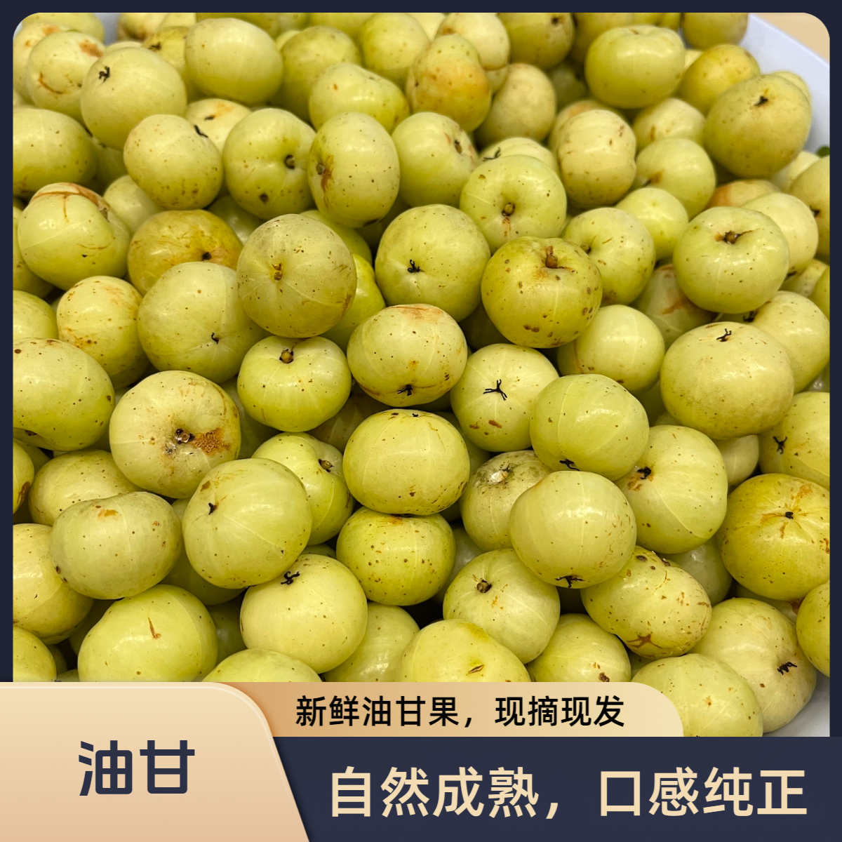 新鲜潮汕油甘自家油柑果清甜爆汁入口回甘可生吃榨汁的水果油甘果