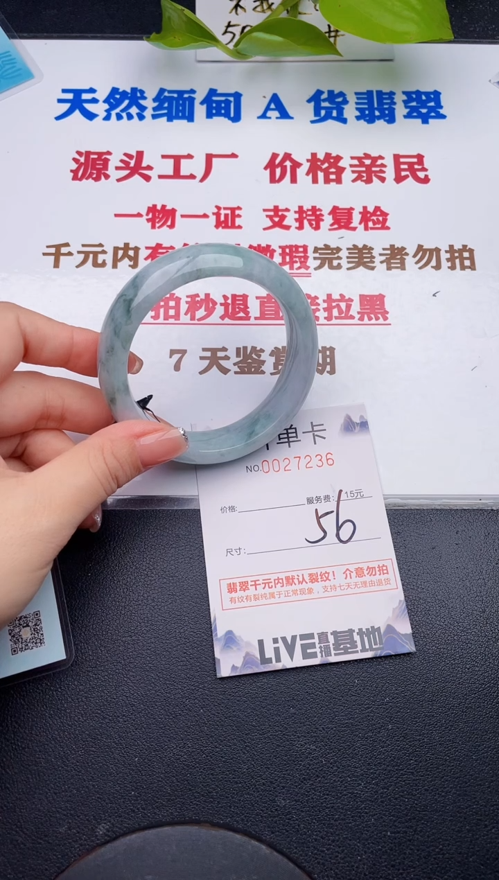 未镶嵌手镯翡翠36