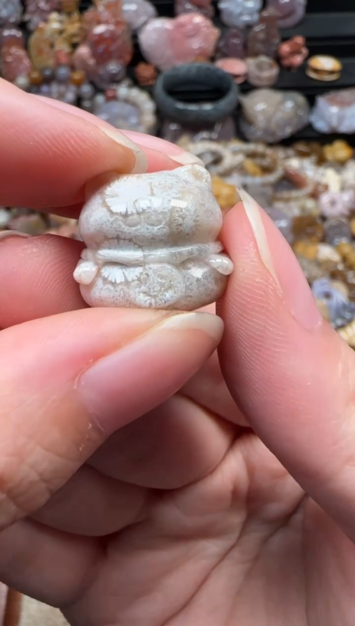 颈饰未镶嵌硅化珊瑚（珊瑚玉）265