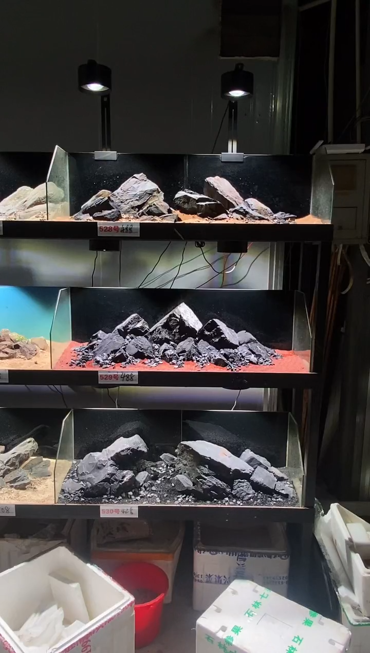 528号鱼缸造景（不含底砂）