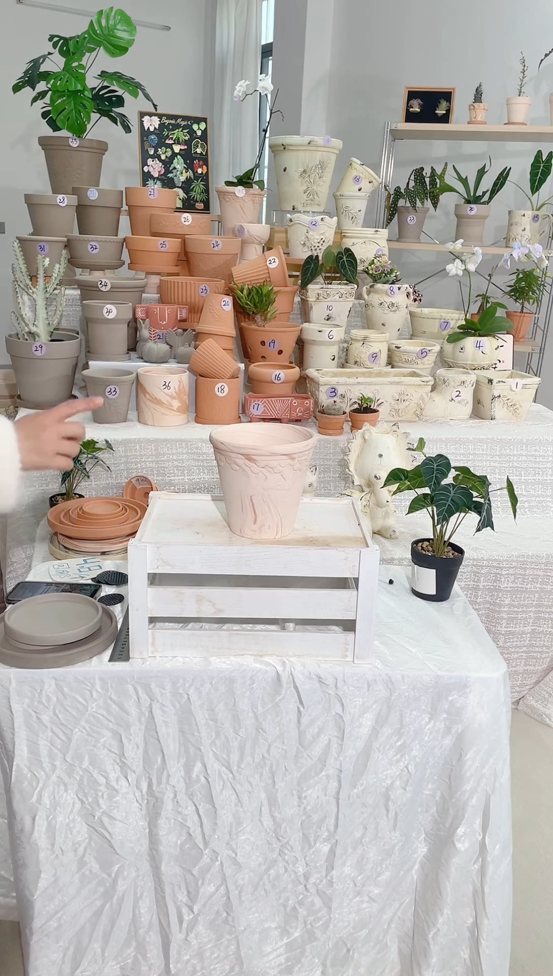 【闪购商品】陶1个无托 玛奇朵巴洛克口径16*15