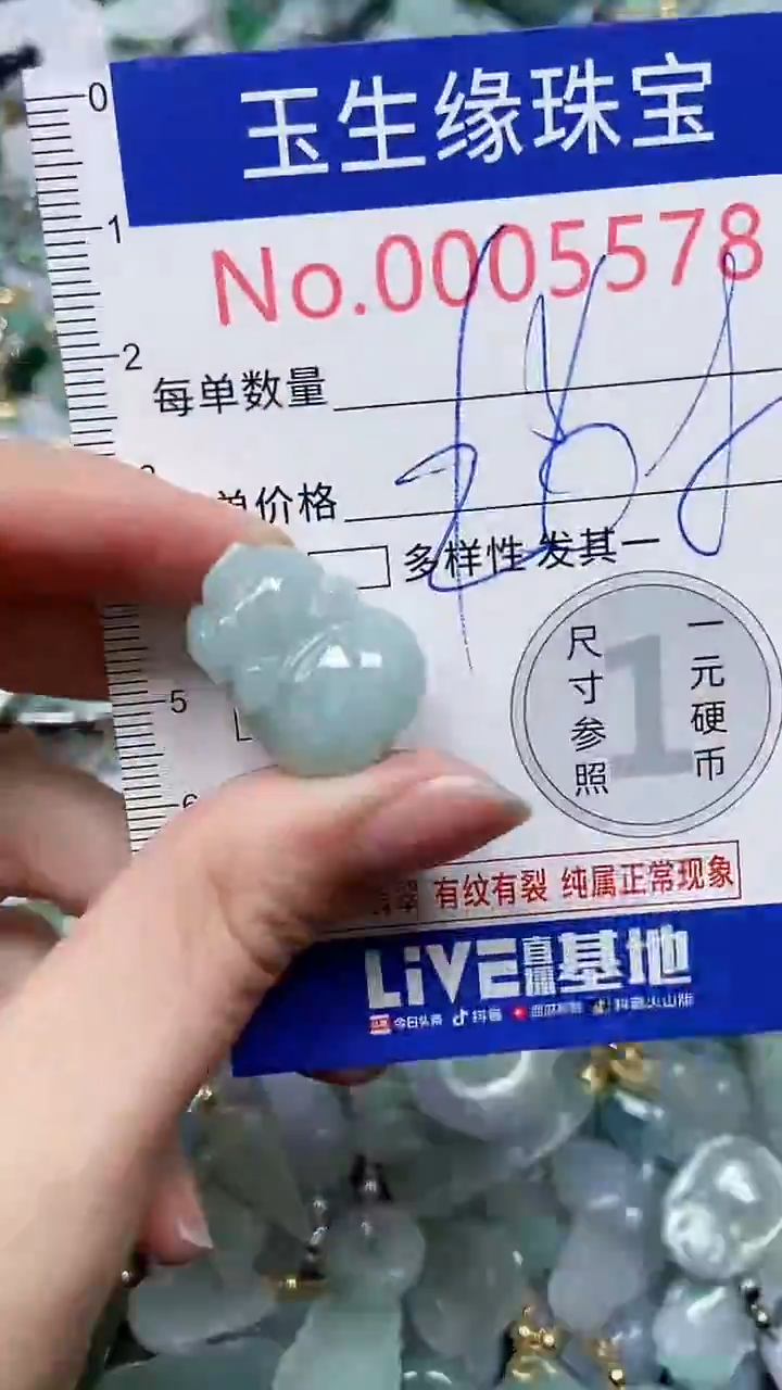 【闪购商品】翡翠颈饰未镶嵌闪购5578