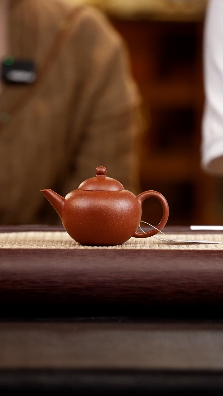 茶壶紫砂九溪堂   野山红泥 珍宝水平