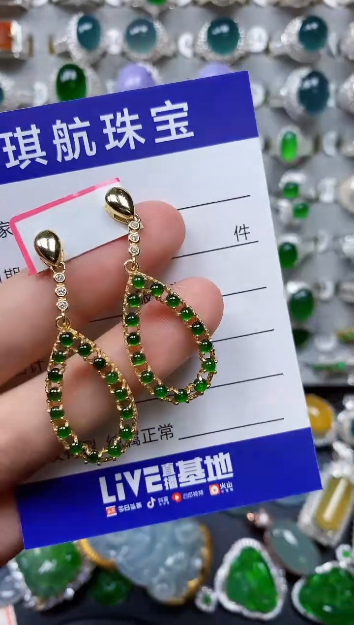 【闪购商品】翡翠耳饰银S925镶嵌0502