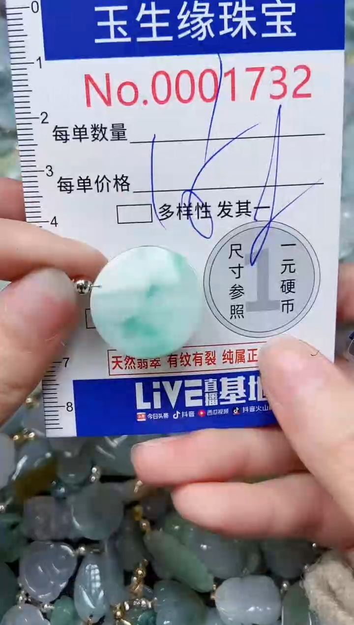 【闪购商品】翡翠颈饰未镶嵌闪购00001732