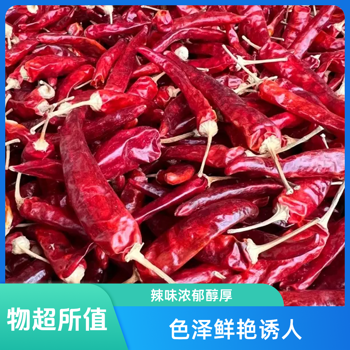 贵州遵义艳椒干辣椒中辣特香自然晒干炒菜火锅家用