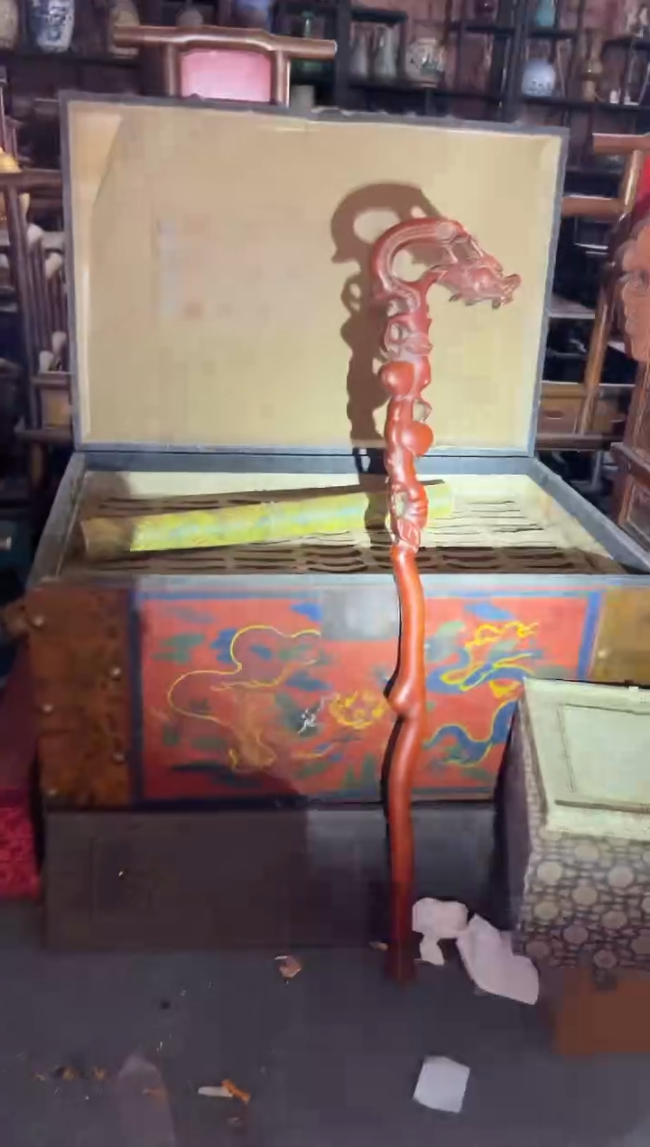 黄杨木11111111111111111