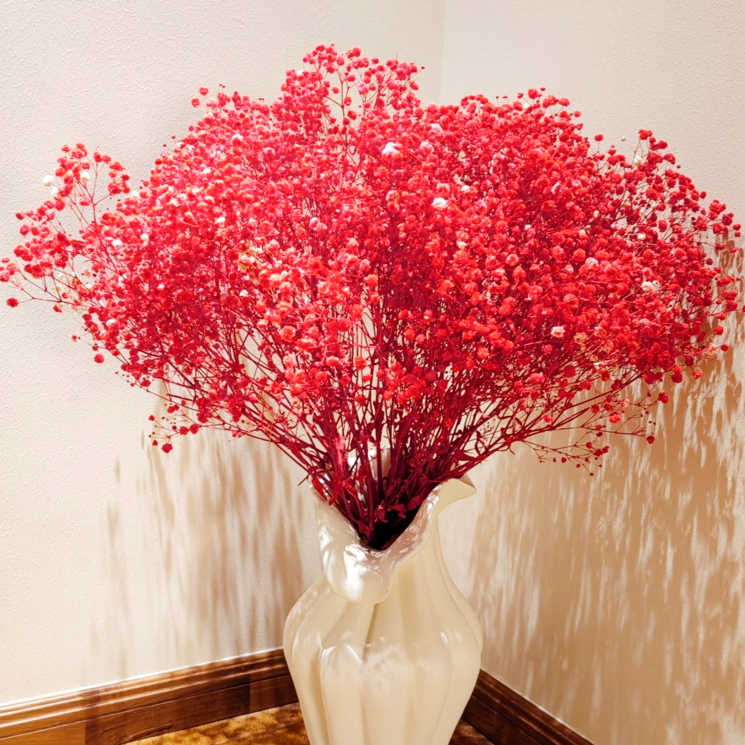  满天星 干花 永生花真花 装饰干花居家插花 喜庆婚庆鲜花